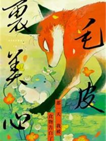 毛皮裹美心